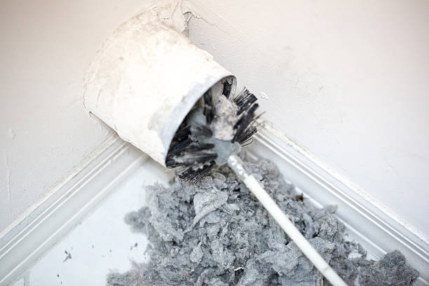 Best Local Air Duct Cleaning Services  in Roosevelt Gardens, FL